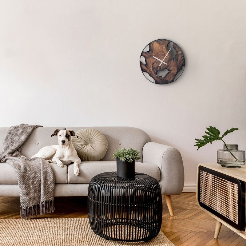 Teak wall clock on a living room wall above a grey sofa, family dog watching from the cushions